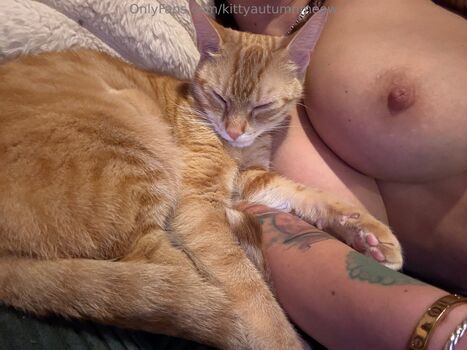 kittyautumnmeow