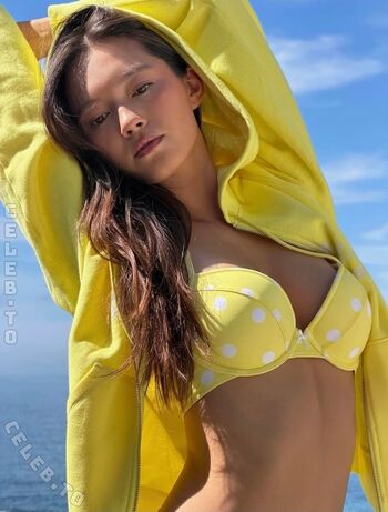 Lily Chee
