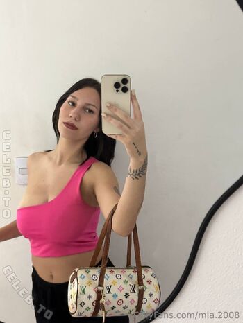 mia.2008