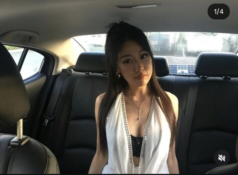 Shihselicia