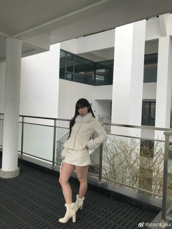 shiliuyelei