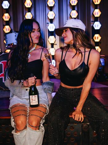 The Bella Twins
