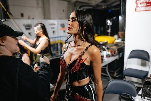 The Bella Twins