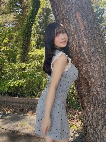 Towa Rabbit
