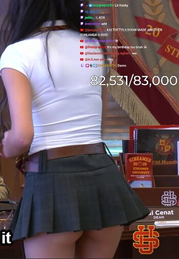 Twitch Streamer Catrnado