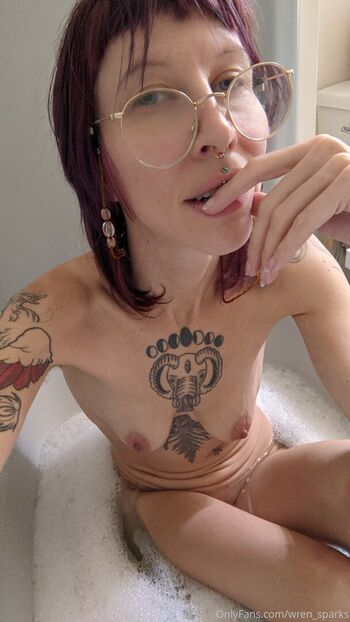 wren_sparks