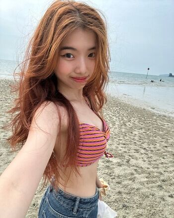 Yong Sim Nie